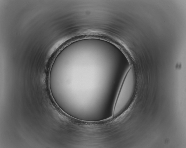 X0000091481066200708161143