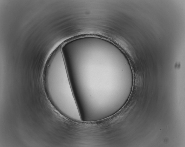 X0000091481068200708161143