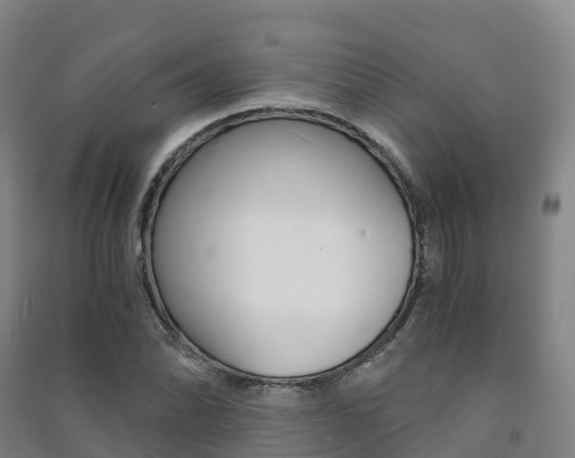 X0000091481070200708161143