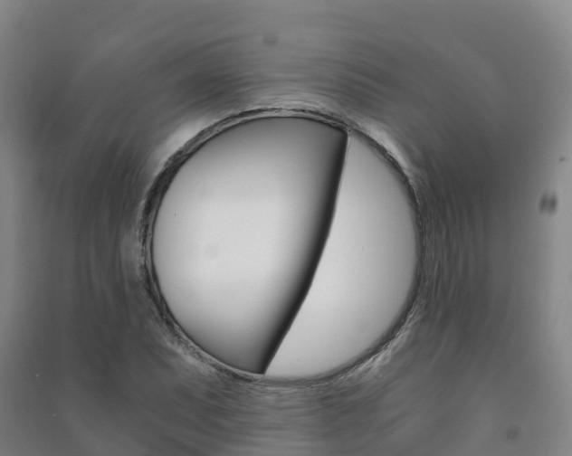 X0000091481071200708161143