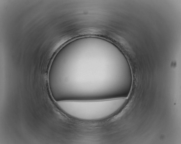 X0000091481073200708161143