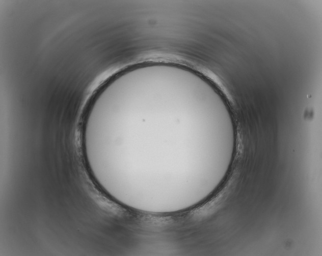 X0000091481074200708161143
