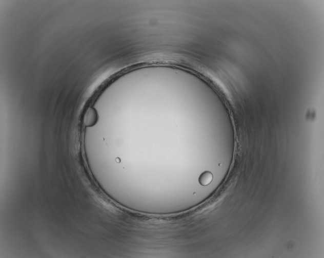 X0000091481075200708161143