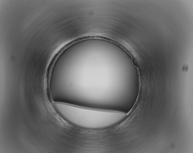 X0000091481076200708161143