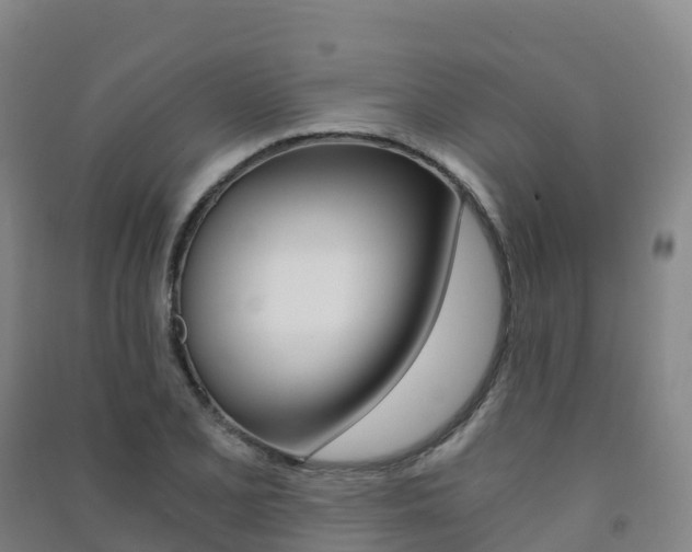 X0000091481077200708161143