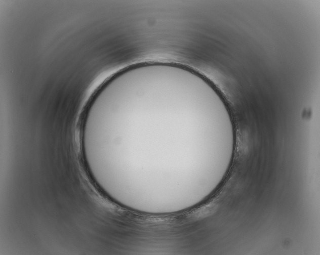 X0000091481078200708161143