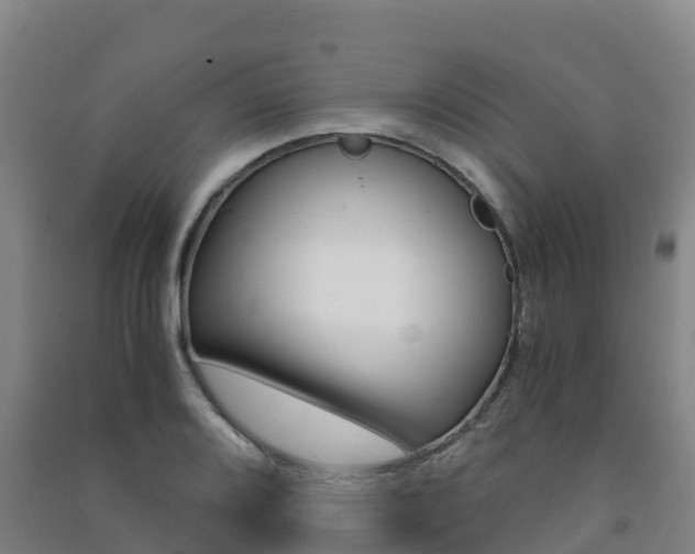 X0000091481080200708161143