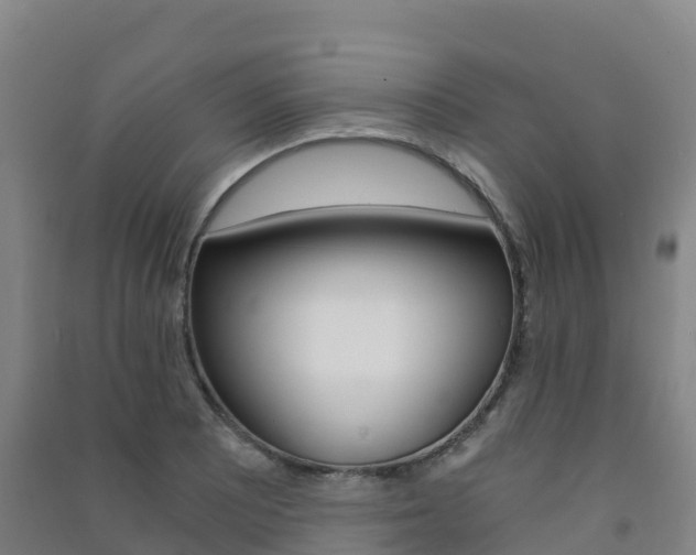 X0000091481081200708161143