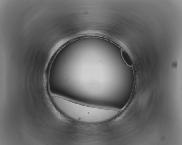 X0000091481082200708161143