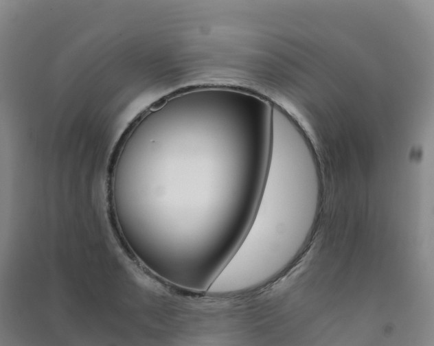 X0000091481085200708161143