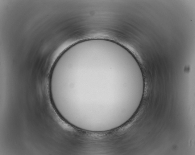X0000091481086200708161143