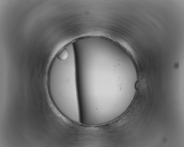 X0000091481088200708161143