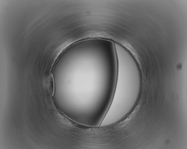 X0000091481089200708161143