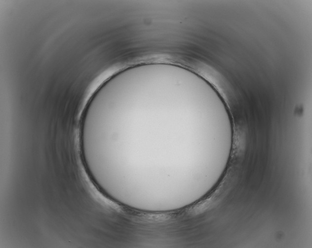 X0000091481090200708161143