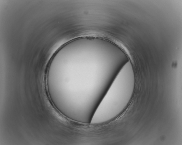 X0000091481091200708161143