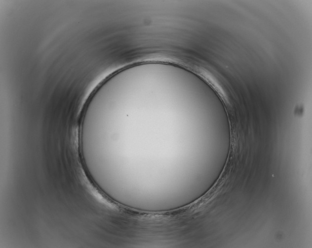 X0000091481092200708161143