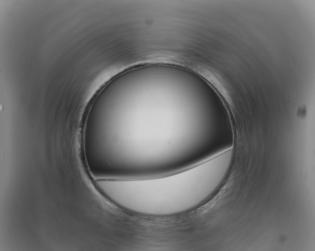 X0000091481093200708161143