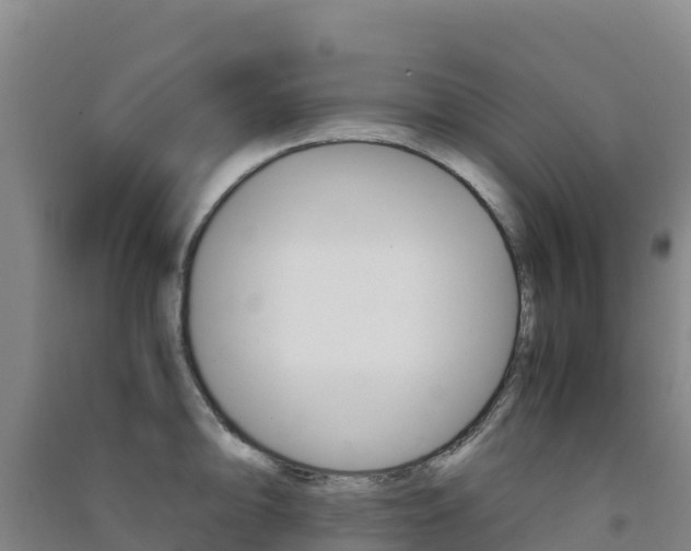 X0000091481094200708161143