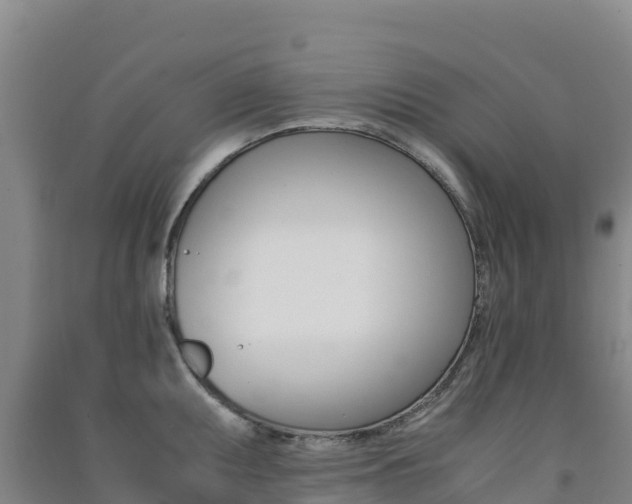 X0000091481095200708161143