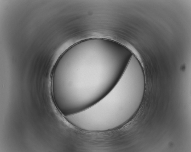 X0000091481096200708161143