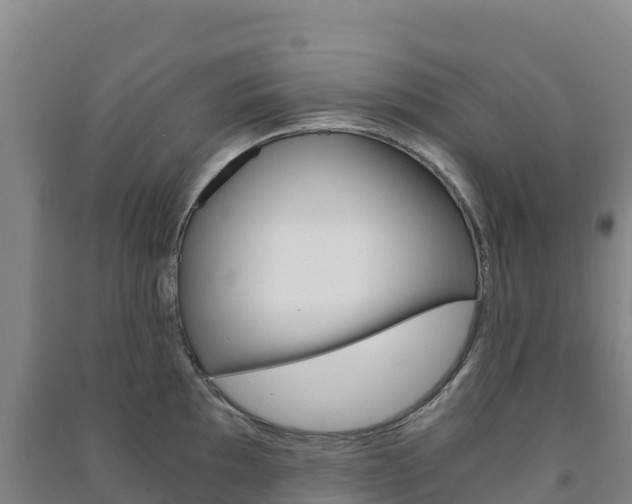 X0000091481097200708161143