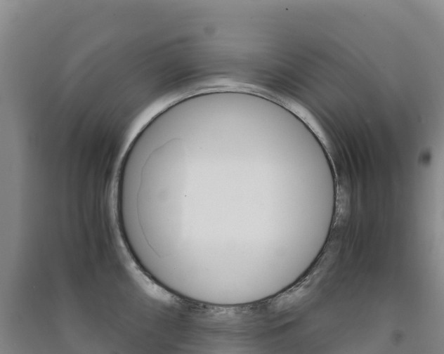 X0000091481098200708161143