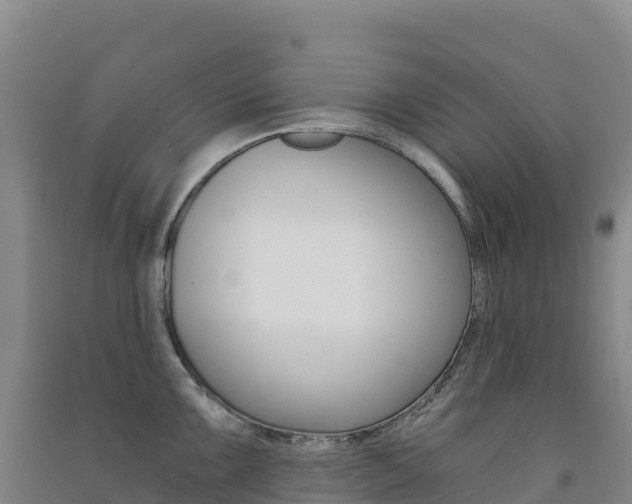 X0000091481099200708161143