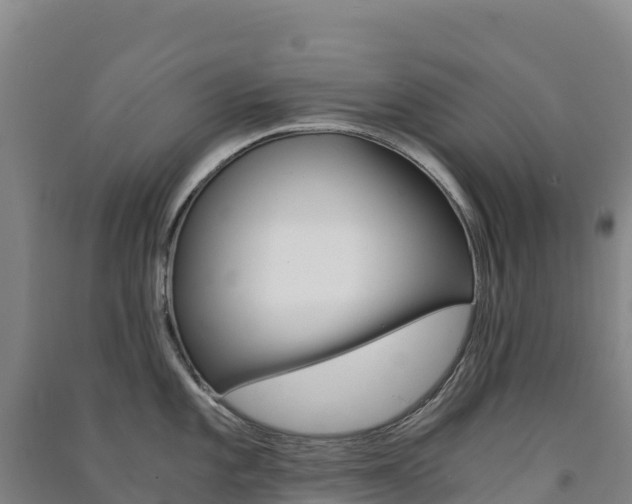 X0000091481101200708161143