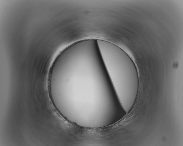 X0000091481104200708161143