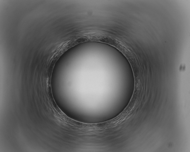 X0000091481108200708161142