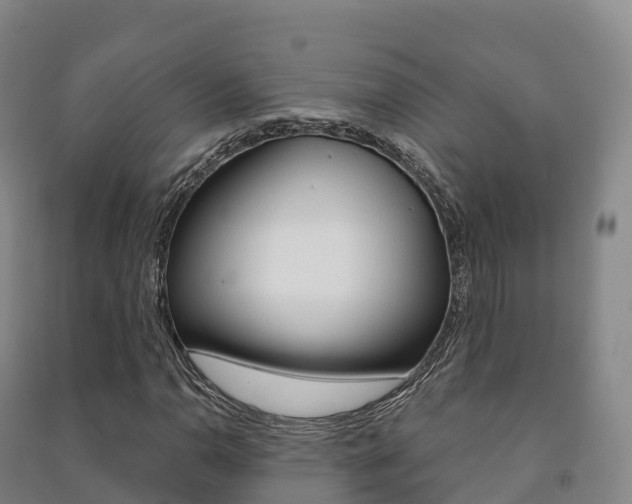 X0000091481110200708161142