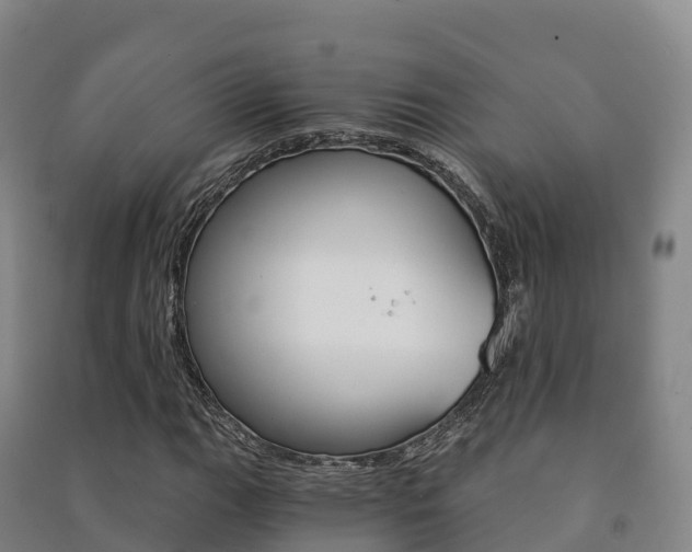 X0000091481111200708161142
