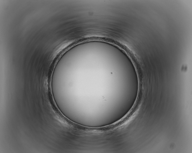 X0000091481113200708161143