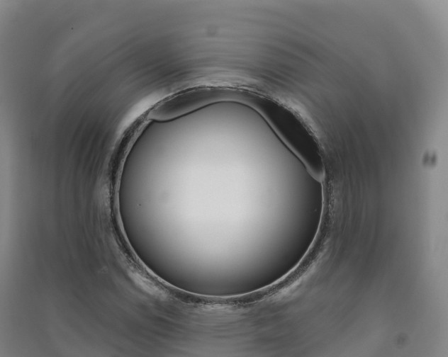 X0000091481114200708161143