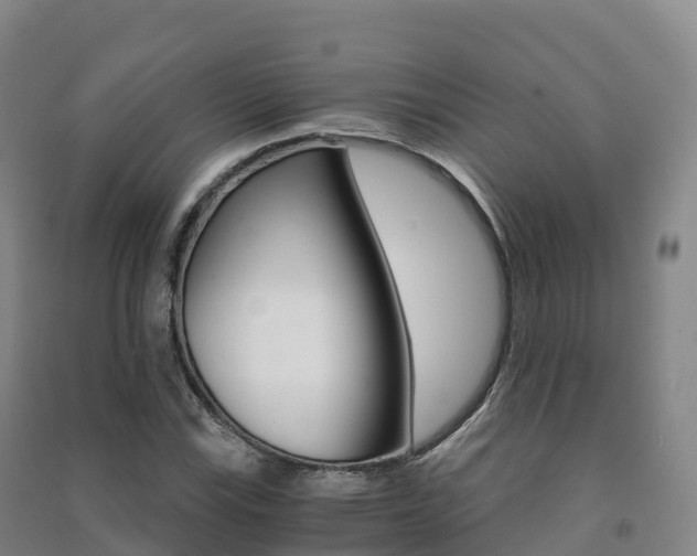 X0000091481115200708161143