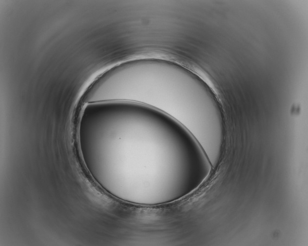 X0000091481116200708161143