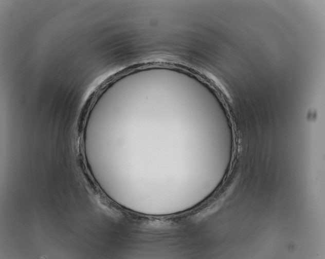 X0000091481117200708161143