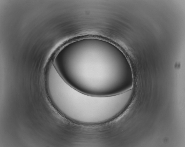 X0000091481118200708161143