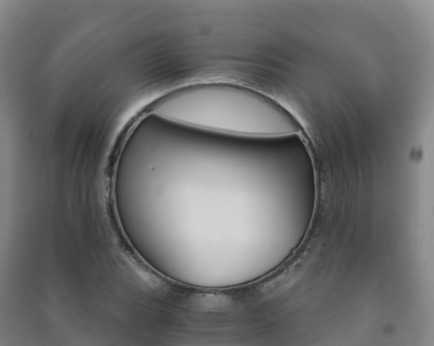 X0000091481119200708161143