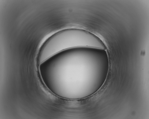 X0000091481120200708161143