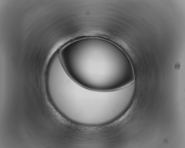X0000091481122200708161143