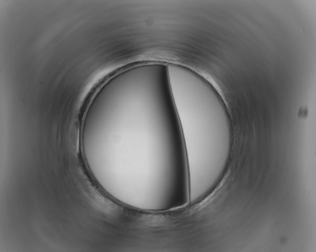 X0000091481123200708161143