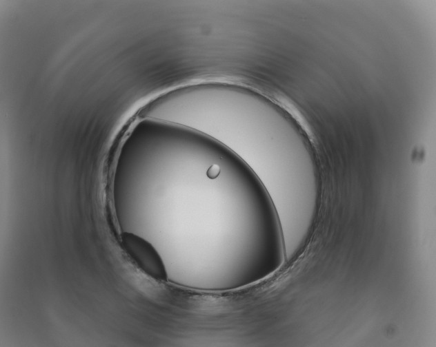 X0000091481124200708161143