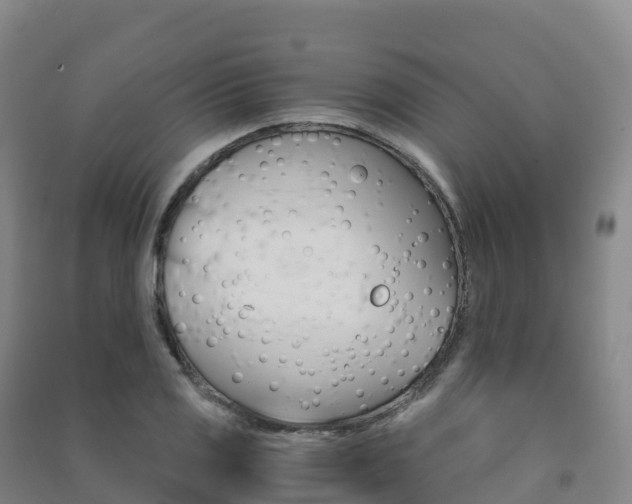 X0000091481125200708161143