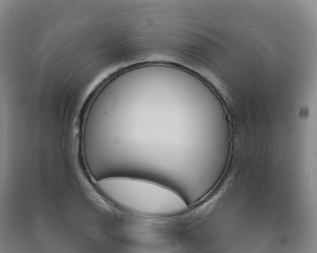 X0000091481126200708161143