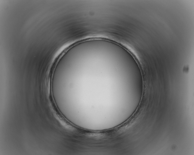 X0000091481127200708161143