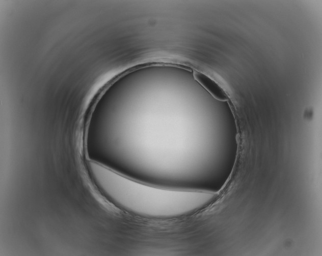 X0000091481128200708161143