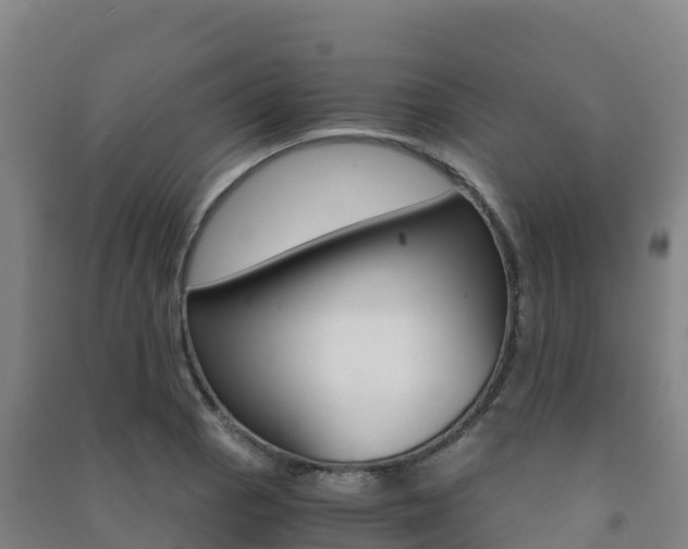 X0000091481129200708161143