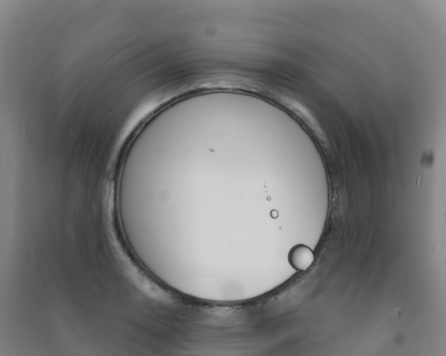 X0000091481130200708161143