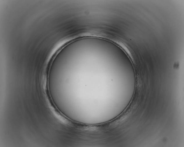 X0000091481131200708161143